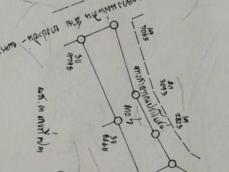 ขายถูกที่สุดในพื้นที่นี้