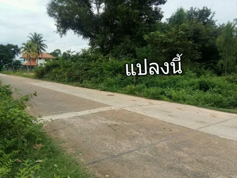 ที่ดินบ้านนิคมหัวสนามบิน เนื้อที่ 330 ตรวติดถนน 2 ด้าน