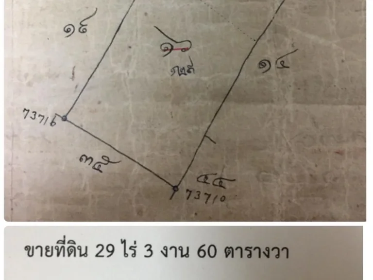 ขายที่ดิน จำนวน 29 ไร่ เจ้าของขายเอง