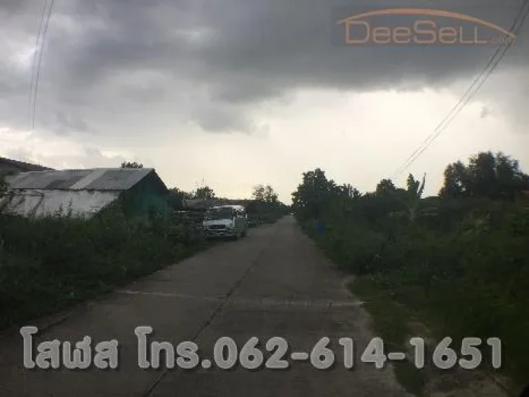 ขายที่ดินซไอยรา14 ปทุมธานี 900ตรว 2ไร่ 1งาน ถนนโครงการเป็นคอนกรีตอย่างดี ทำเลทอง คลองสอง ใกล้ตลาดไท โรงเกลือ นิคมฯนวนคร สนามกอล์ฟนอร์ทเธิร์นรังสิต