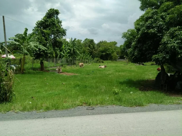 LS810 Beautiful Land for Sale at Sankamphaeng