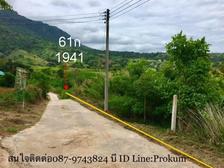 ขายที่ 123 ตรว650000 บาท บนเขาค้อมีโฉนด