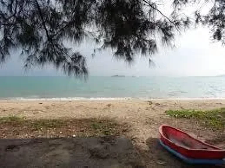 ขายที่ดินติดชายหาดแม่พิมพ์ ไม่มีถนนคั่น ทะเลสวยงามมาก จำนวน 2 ไร่ครึงเศษ