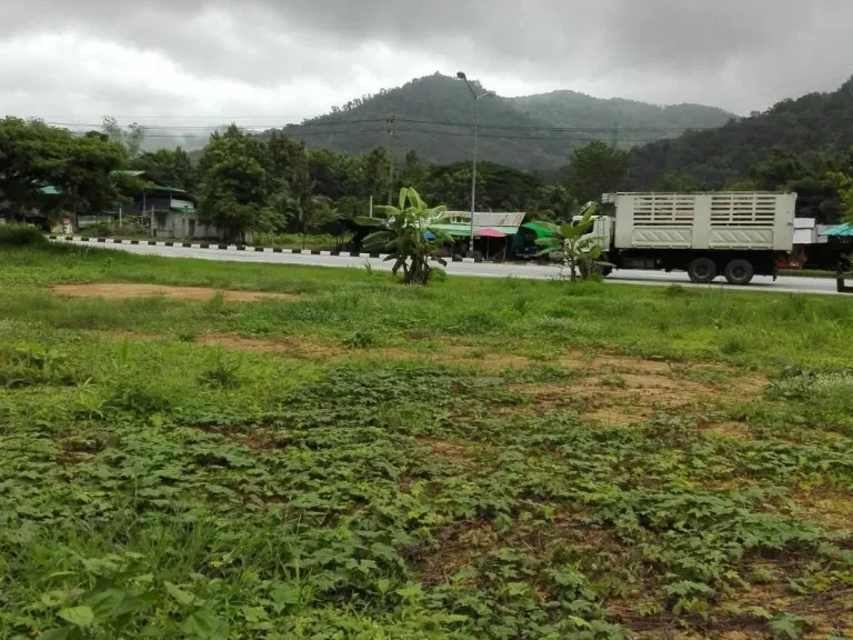 ขายที่ดินติดถนนสายเอเชีย บ้านด่านนาขาม อุตรดิตถ์ แปลงสาย 4ไร่1 งาน