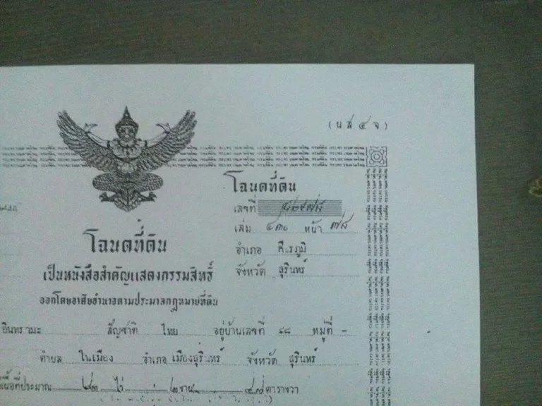 ขายที่นาสวยแปลงใหญ่ เนื้อที่ 62-2-47 ไร่ ติดลำห้วย