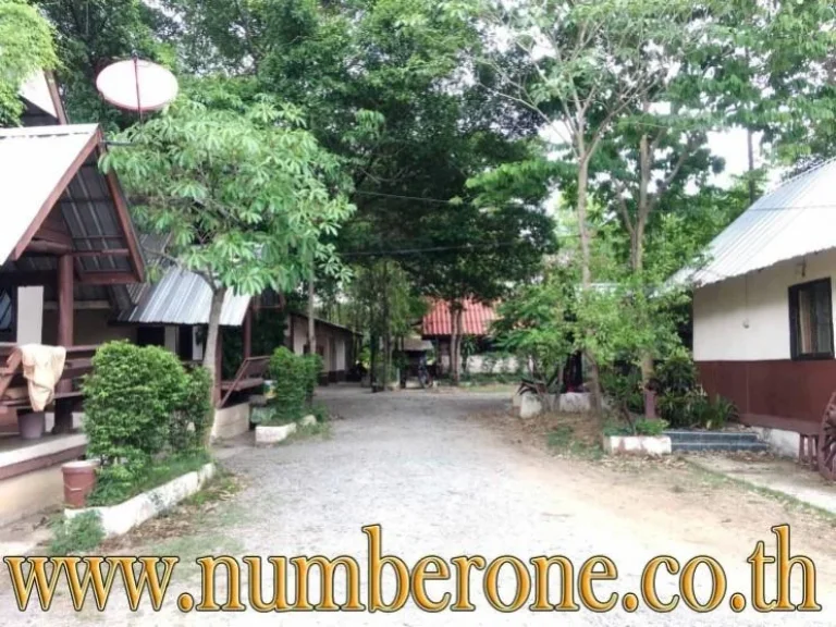 รีสอร์ท 13453 ตรว 3 ไร่ 1 งาน 453 ตรว ภาชีรีสอร์ท ถภาชี-ท่าเรือ จอยุธยา ราคา 10 ล้านบาท