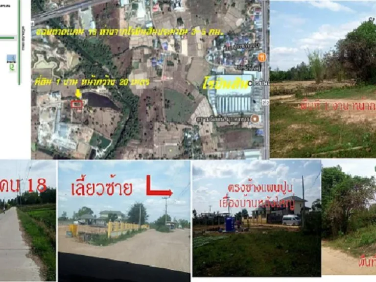 ที่ดินสวยร่มรืน 1 งาน ใกล้สถานศึกษา ใกล้เมือง ใกล้โรบินสัน เหมาะสำหรับสร้างที่อยู่อาศัย