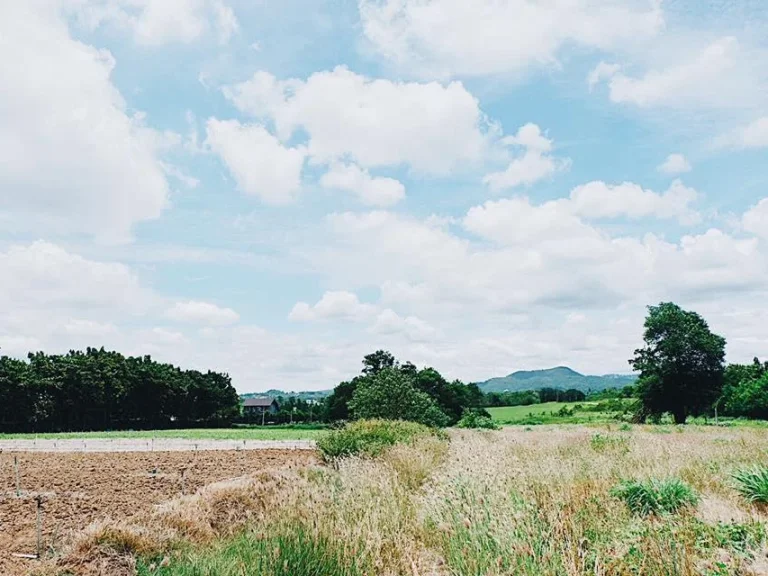 ขายที่ดิน หนองสาหร่าย ปากช่อง เขาใหญ่