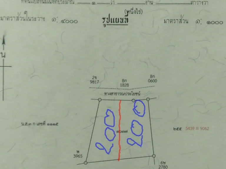 ขายที่ดินแปลงสวย1ไร่ติดหมู่บ้านถคอนกรีตน้ำไฟพร้อม