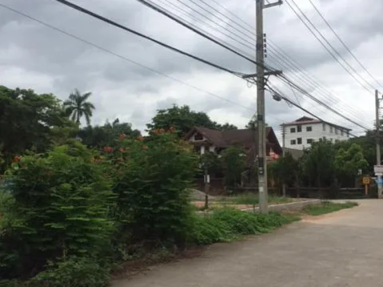 ที่ดินในหมู่บ้านจินดานิเวศ หนองผึ้ง สารภี เชียงใหม่