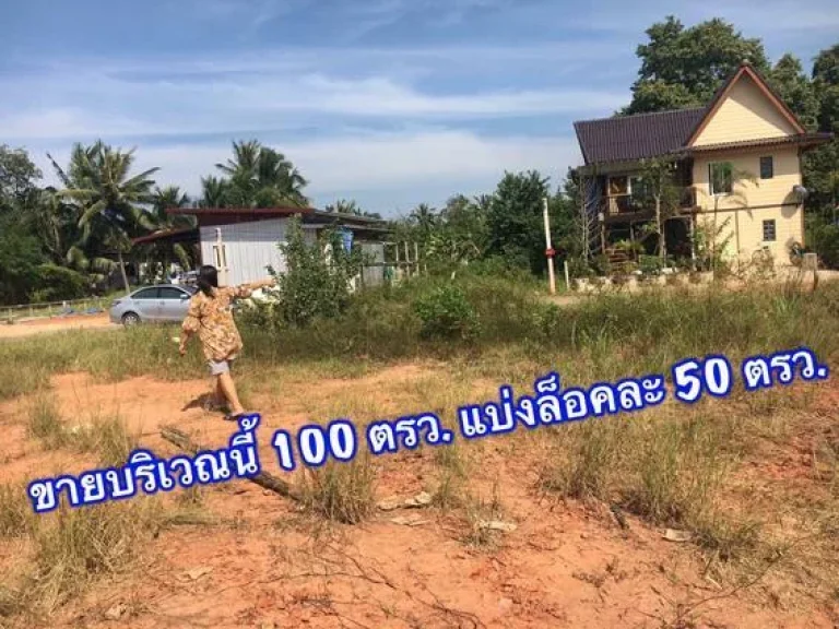 ขายที่ดิน 100 ตรว ทำเลดี ใกล้ Toyota ท่าทองใหม่เพียง 10 นาที ถมแล้วพร้อมก่อสร้าง