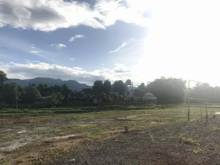 ที่ดินเเบ่งขาย แม่ริมเชียงใหม่ ทำเลดีบรรยากาศดี