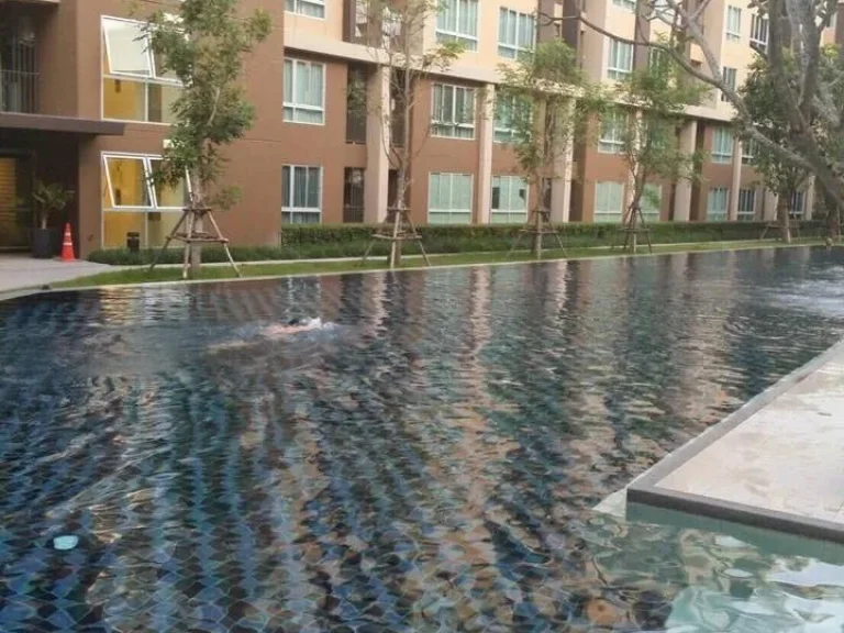 ขายคอนโดโครงการแสนสิริ D condo campus เจ้าของขายเอง