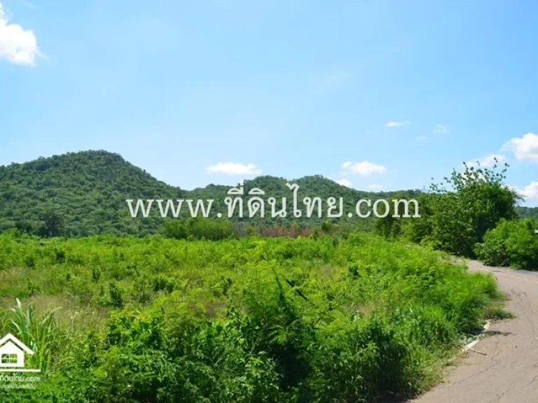 ที่ดินลพบุรี 6 ไร่ 2 งาน36ตรวตชอนม่วง อบ้านหมี่ จลพบุรีรหัส 3621