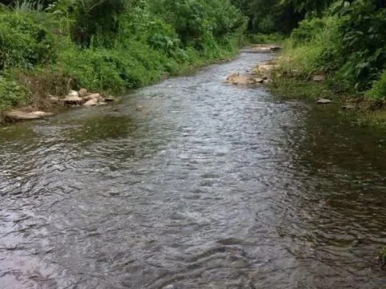 ขายที่ดินติดลำธาร 35 ไร่ที่สวย สามารถต่อน้ำไฟได้เลย อากาศเย็น