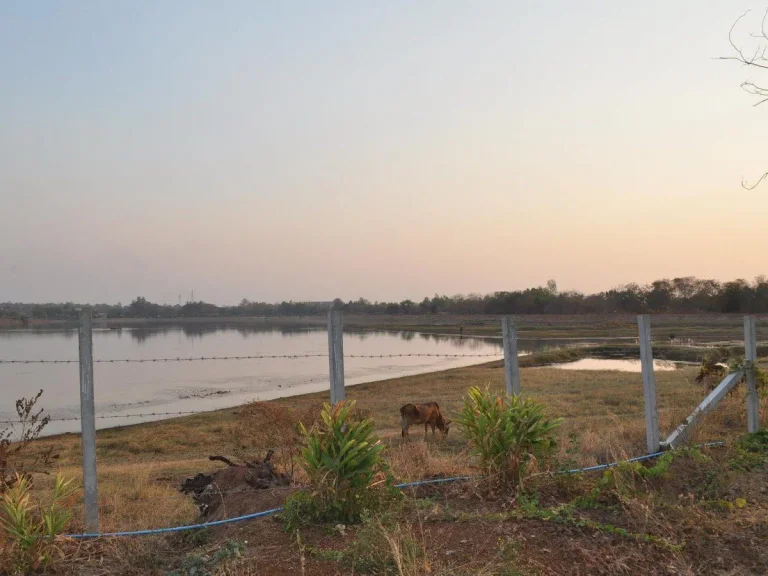 ที่ดิน 25 ไร่ ทำเลที่พร้อมสำหรับสิ่งปลูกสร้าง ใกล้จุดชมวิวริมน้ำในสว่างแดนดิน เพียง 3535655 บาท