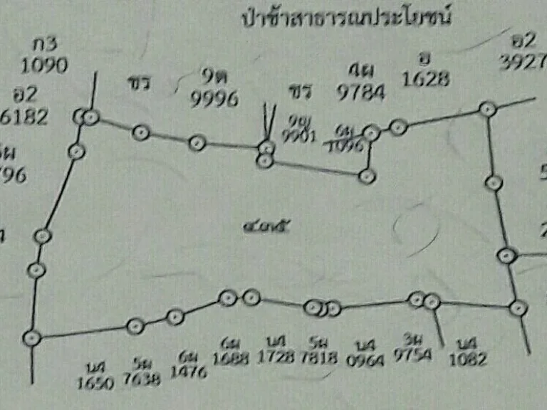 ขายที่นาโคราช 12 ไร่ 2 งาน 88 ตรว