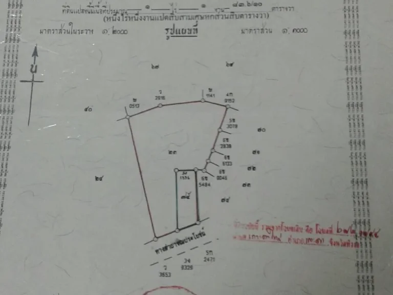 ขายที่ดินเกาะยาวใหญ่ 1ไร่ 1งาน 83ตารางวา ตรงข้าม อบตเกาะยาวใหญ่ บ้านช่องหลาด