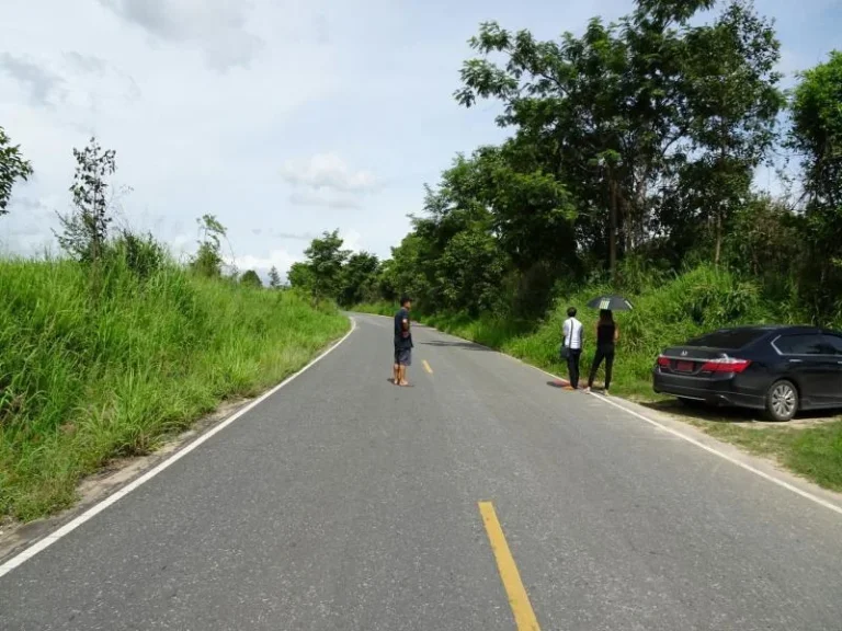 ขายที่ดิน พัทยา หนองปลาไหล 38 5ไร่ ห่างจากมอเตอร์เวย์ 600 เมตร ติดถนนดำ ทำเลดี เหมาะลงทุน 3 5 ล้านบาท ต่อไร่