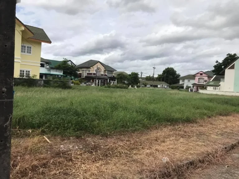 ขายที่ดิน 120 ตรว หมู่บ้านเพลินใจ2 จังหวัดระยอง ทำเลดีใจกลางเมือง ใกล้สโมสรและทะเลสาบ