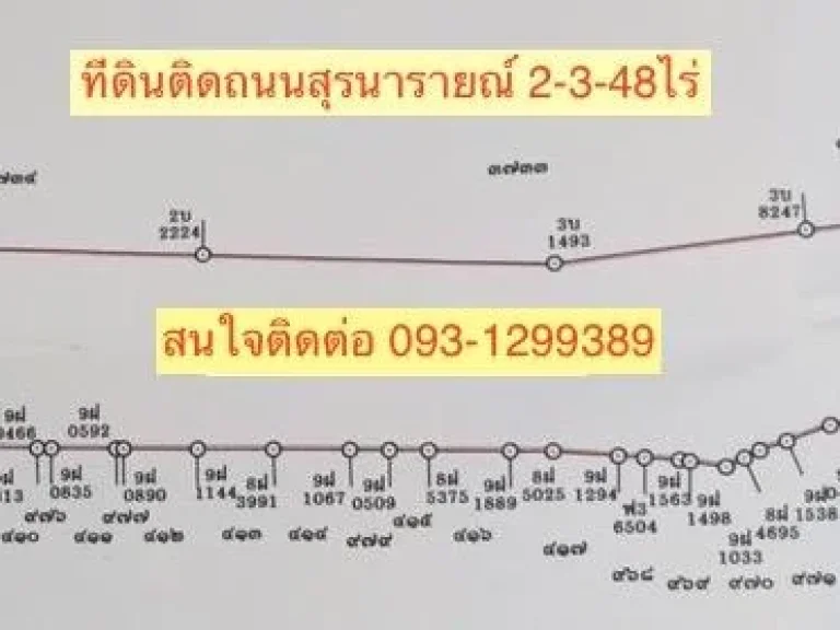 ขายที่ดินติดถนนสุรนารายณ์ บ้านเกาะ เนื้อที่ 2 ไร่กว่า