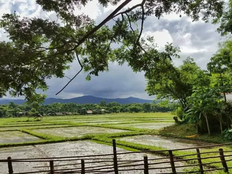 ขายที่ดินแปลงสวยๆ วิวเขา ติดถนนคอนกรีต ไฟน้ำพร้อม ที่ตั้ง ตห้วยทราย อแม่ริม จเชียงใหม่ เนื้อที่ 15 ไร่ 3 งาน 41 ตาราง