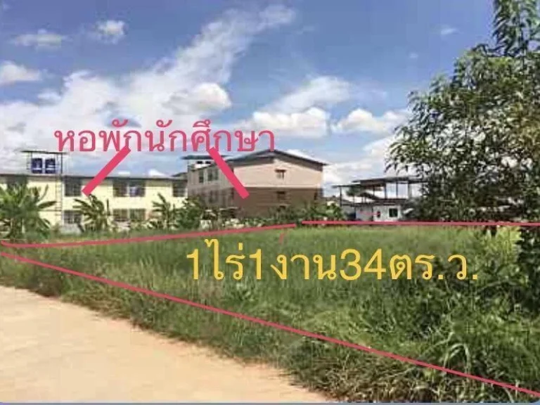 ขายที่ดิน 1 ไร่ 1 งาน 34 ตรวา ทำเลดีเหมาะทำหอพัก บ้านนาฝาย ใกล้ราชภัฏชัยภูมิ