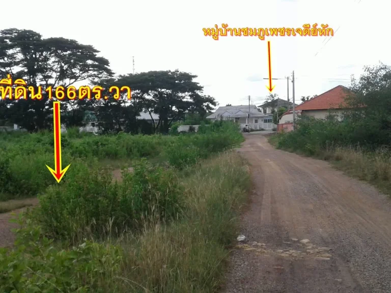 ขายที่ดิน166ตรวาในหมู่บ้านชมภูเพชร เจดีหักย์เขางู ราชุรี ไฟฟ้าประปาพร้อม ใกล้แม็คโคร3กมใกล้บิกซี55กมขาย12ล้านบาท