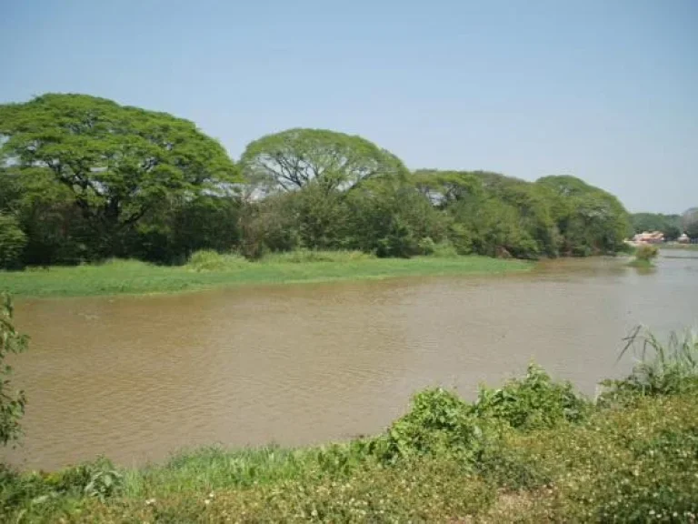 ที่ดินติดแม่น้ำปิง ในเมือง เชียงใหม่ ใกล้โรงแรมฮอลิเดย์อินน์