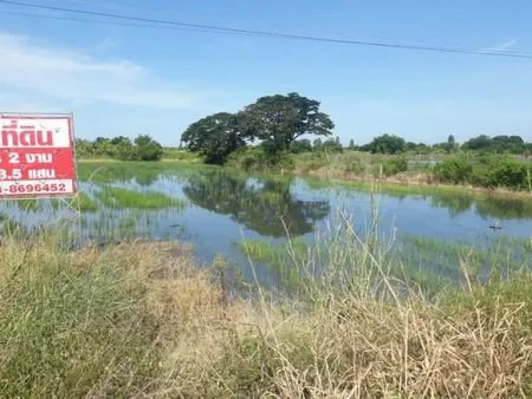 ขายที่ดินเปล่าทำเลดี เนื้อที่ 18 ไร่ 2 งาน บางปลาม้า จังหวัดสุพรรณบุรี