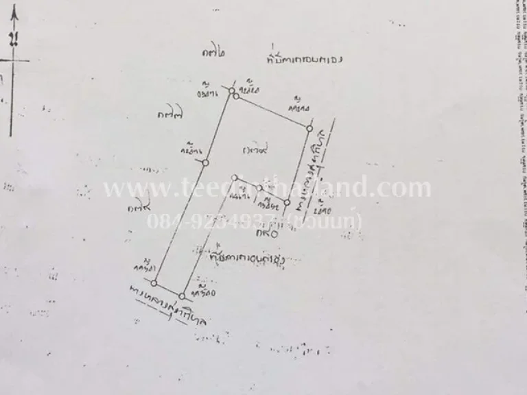 ขายห้องเช่าเพชรบูรณ์ 286 ตรว โฉนด ตพุเตย อวิเชียรบุรี จเพชรบูรณ์ รหัส H41