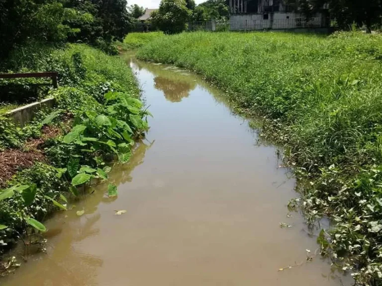 ขายที่ดินในโครงการ ดอยสะเก็ตห่างเมือง 5 km