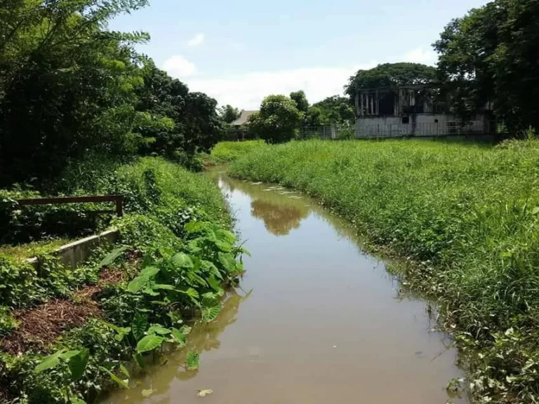 ขายที่ดินในโครงการ ดอยสะเก็ตห่างเมือง 5 km