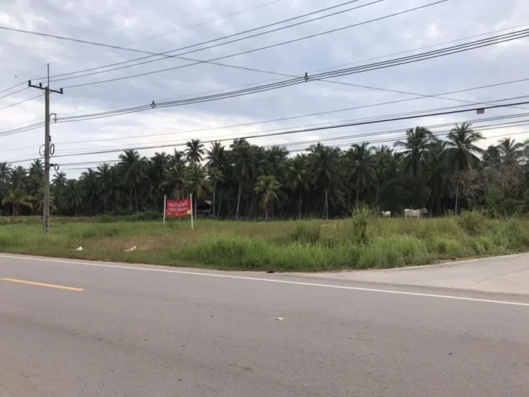 ขายที่ดิน อำเภอ บางสะพานน้อย จังหวัดประจวบ