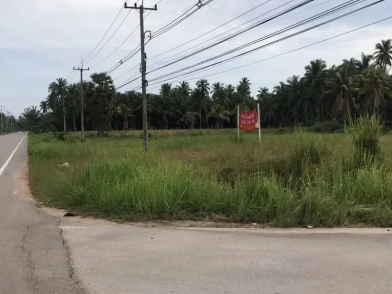 ขายที่ดิน อำเภอ บางสะพานน้อย จังหวัดประจวบ