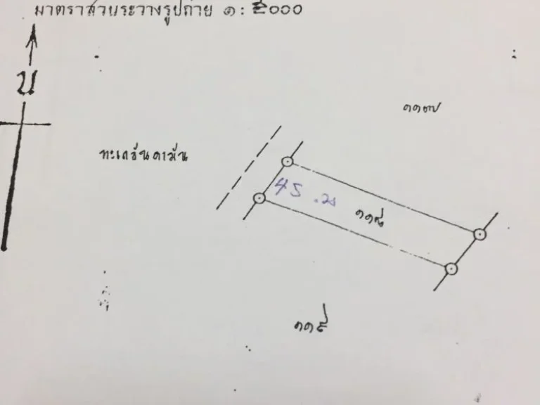 ขายด่วน ที่ดิน เกาะคอเขา ติดทะเล ตะกั่วป่า พังงา