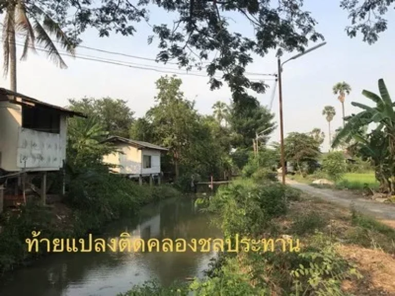 ทีดินทำเลดี ติดถนนหลัก 346 ถบางกระผึ้ง ตบ้านกระแชง อเมืองปทุมธานี จปทุมธานี