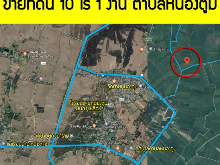 ขายที่ดิน 10 ไร่ 1 งาน ตำบลหนองตูม จังหวัดขอนแก่น