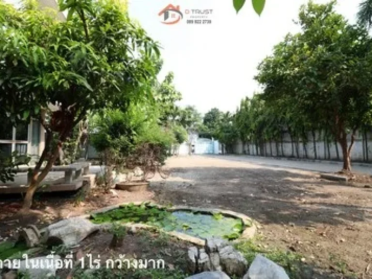 ให้เช่า For Rent ที่ดิน พร้อมบ้าน สาธุประดิษฐ์ 44 บางโพงพาง ยานนาวา พระราม 3 นราธิวาสราชนครินทร์