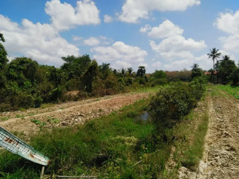 ขายที่ดิน 6 ไร่ อรัตภูมิ ใกล้ห้างโลตัส ใกล้โรงพยาบาล