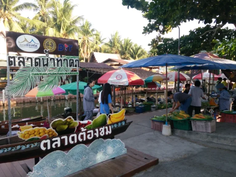 ที่ดิน3ไร่2งานสวยๆ ติดตลาดน้ำท่าคา20เมตร ออัมพวา บรรยากาศจิบกาแฟนั่งชิว ตะลุยกินของแซ่บตลาดน้ำท่าคานักท่องเที่ยวเยอะ ไร่ละ 23ล้าน