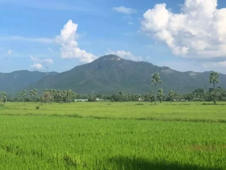 ขายที่ดินแช่ช้างเห็นวิวดอย ติดถนนคอนกรีต ราคาถูก