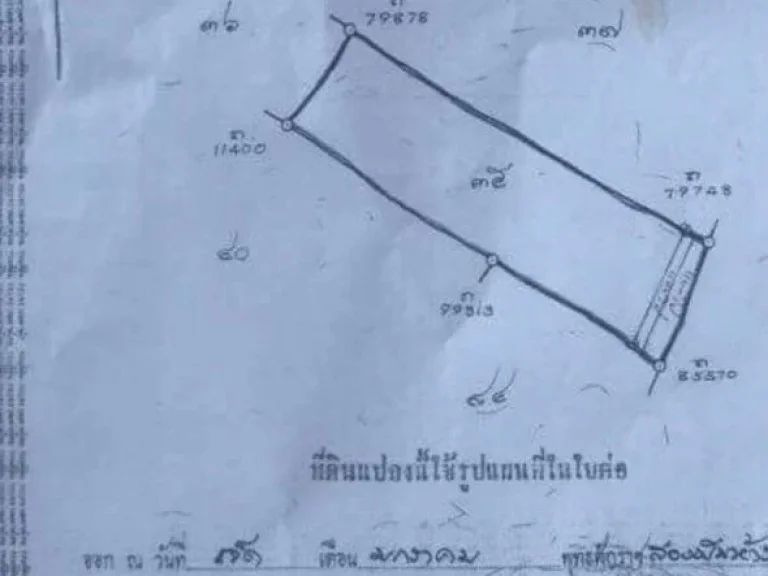 ขายที่ดิน 19ไ ร่ 2 งาน ติดถนนใหญ่ อนาคตจะเป็นถนนสายอินโดจีน อสองพี่น้อง จสุพรรณบุรี