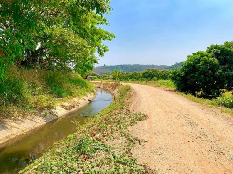 ขายสวนลำใย บ้านกาด ติดคลองชลประทาน