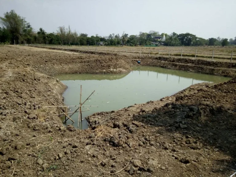 ขายที่ดิน 2-2-19 ไร่ บ้านหนองพันเงิน ตยุหว่า อสันป่าตอง จเชียงใหม่