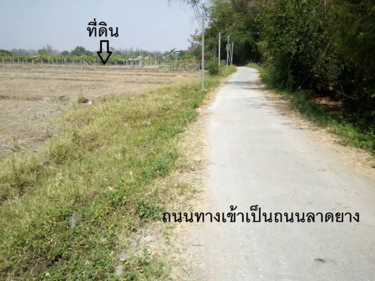 ขายที่ดิน 2-2-19 ไร่ บ้านหนองพันเงิน ตยุหว่า อสันป่าตอง จเชียงใหม่