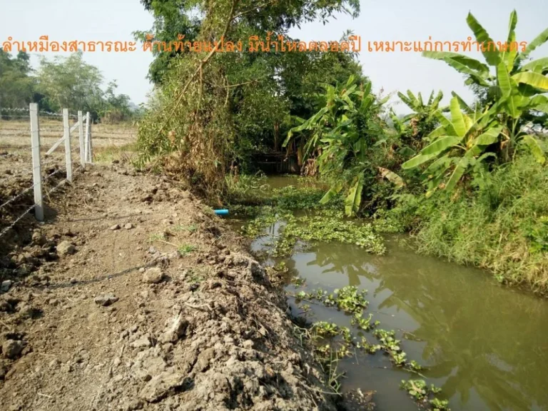 ขายที่ดิน 2-2-19 ไร่ บ้านหนองพันเงิน ตยุหว่า อสันป่าตอง จเชียงใหม่