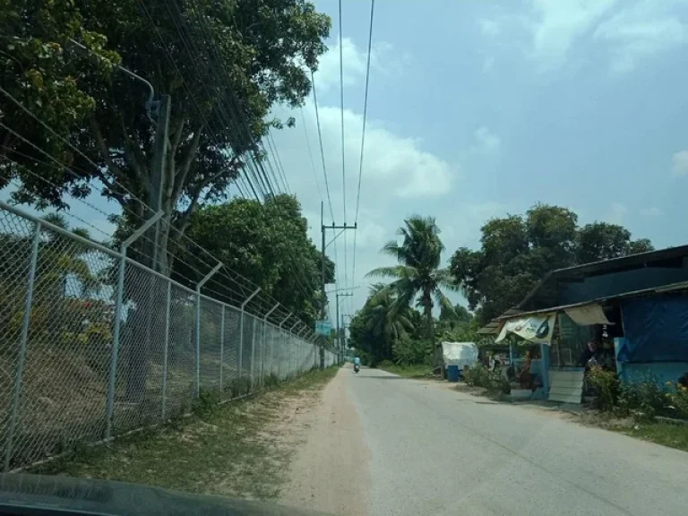 ขายที่ดิน 1 ไร่ ซอย รรศรีสุวิช บางละมุง พัทยา 13000