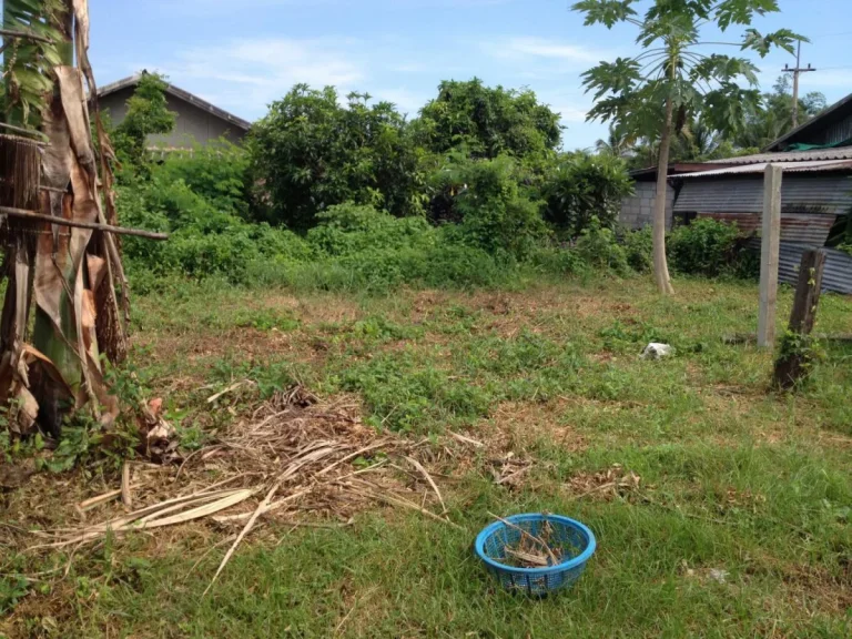 ขายที่ดินราคาถูกในเขต อเมืองอุดร ใกล้เมือง