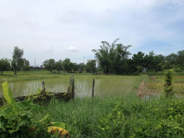 ขายที่ดินราคาถูกในเขต อเมืองอุดร ใกล้เมือง